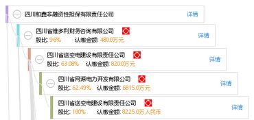 四川和鑫非融資性擔保有限責任公司 專注非融資性擔保業務，助力企業穩健發展